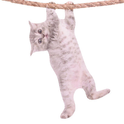 thumbsup-fenmermicker-katze
