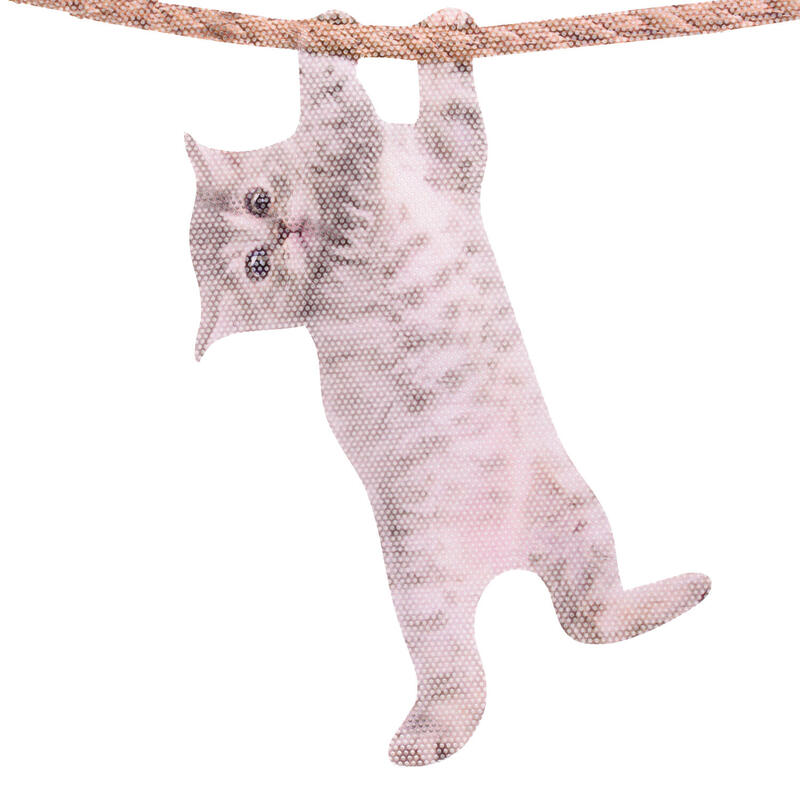 thumbsup-fenmermicker-katze thumbsup-fenmermicker-katze