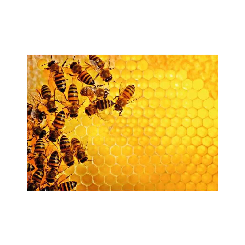 ravensburger-puzzle-challenge-abejas-1000-piezas-12000614