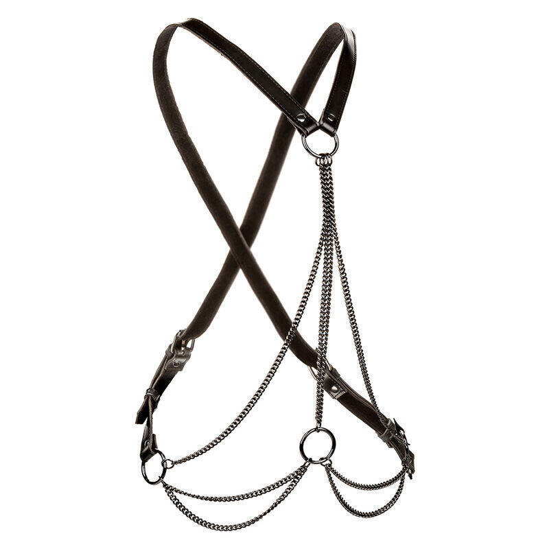 calexotics-euphoria-arnes-de-multiples-cadenas-premium-talla-plus calexotics-euphoria-arnes-de-multiples-cadenas-premium-talla-plus
