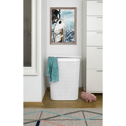 rotho-brisen-50-l-rectangular-plastico-capuchino