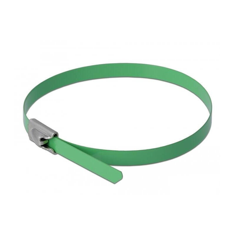 delock-edelstahlcablebinder-l-300-x-b-46-mm-grun-10-stuck