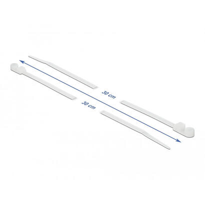 delock-cablebinder-mit-befestigungsose-l-300-x-b-48-mm-weiss-10-stuck