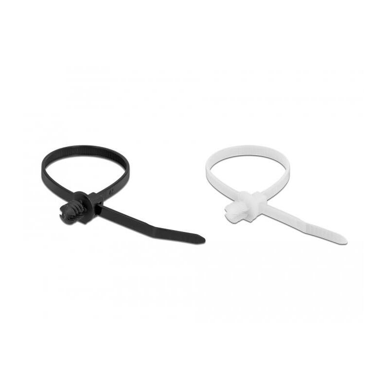 delock-cablebinder-mit-lamellenfuss-l-200-x-b-48-mm-100-stuck