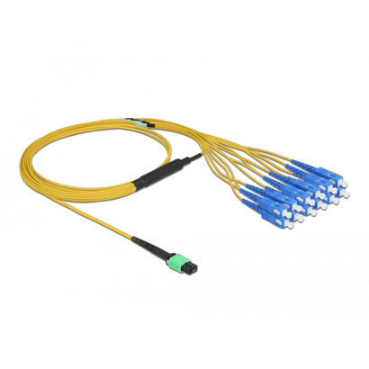 delock-lwl-cable-mpo-buchse-zu-12-x-sc-simplex-stecker-singlemode-9-125-m-2-m