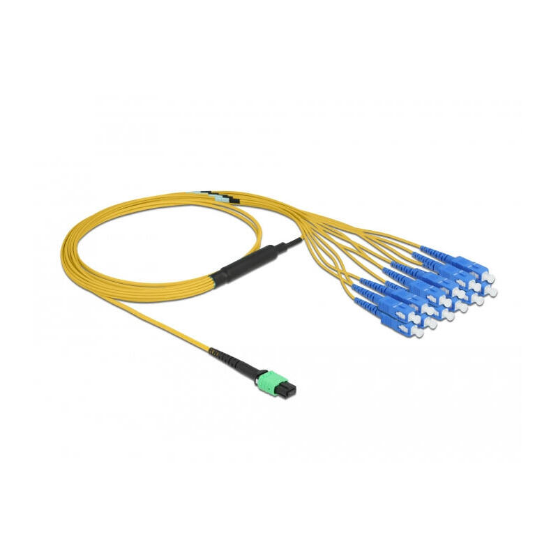 delock-lwl-cable-mpo-buchse-zu-12-x-sc-simplex-stecker-singlemode-9-125-m-2-m