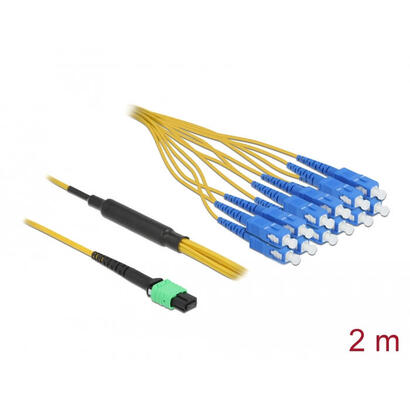 delock-lwl-cable-mpo-buchse-zu-12-x-sc-simplex-stecker-singlemode-9-125-m-2-m