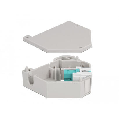 delock-hutschienenadapter-mit-keystone-sc-simplex-buchse-zu-sc-simplex-buchse-aqua