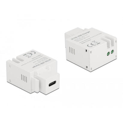 delock-keymone-modul-con-usb-type-c-ladehchse-21-a-blanco