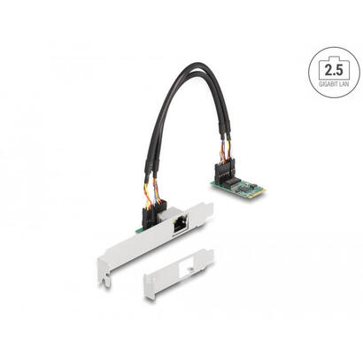 delock-convertidor-m2-key-bm-1-x-rj45-25-gigabit-lan