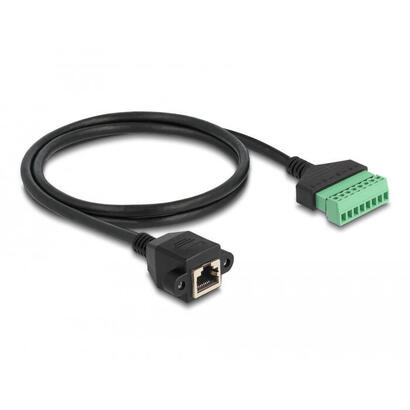delock-rj45-cable-cat6-buchse-zu-terminalblock-adapter-zum-einbau-1-m-2-teilig