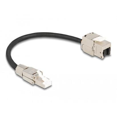 delock-cable-rj45-stecker-feldkonfektionierbar-zu-keystone-modul-rj45-buchse-cat6a-25-cm