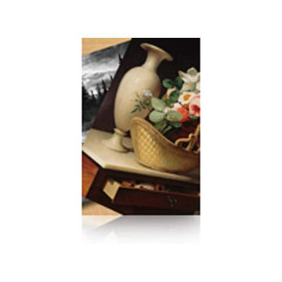 epson-gf-papel-premium-luster-photo-60-x-305m-260-gm2