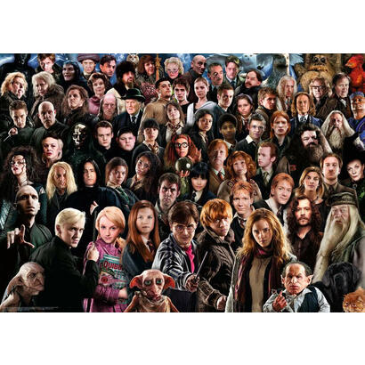 ravensburger-puzzle-challenge-harry-potter-1000-piezas-12000457
