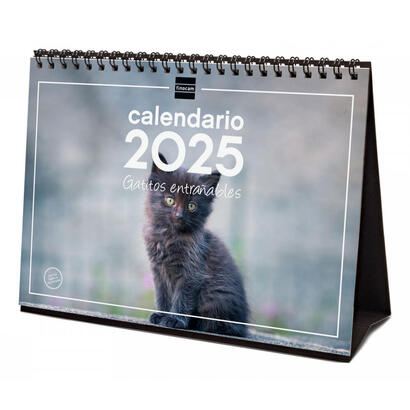 finocam-calendario-de-sobremesa-para-escribir-s-210x150mm-imagenes-gatitos-2025