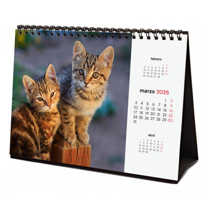 finocam-calendario-de-sobremesa-para-escribir-s-210x150mm-imagenes-gatitos-2025