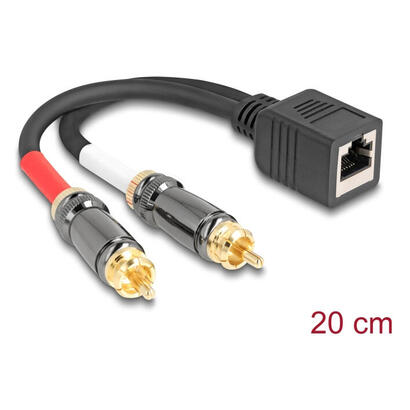delock-adaptercable-rj45-buchse-zu-2-x-cinch-stecker-schwarz-20-cm