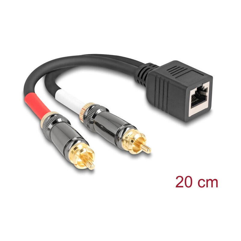 delock-adaptercable-rj45-buchse-zu-2-x-cinch-stecker-schwarz-20-cm