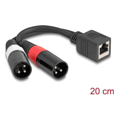 delock-adaptercable-rj45-buchse-zu-2-x-xlr-3-pin-stecker-schwarz-20-cm