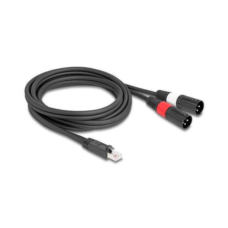 delock-adaptercable-rj45-stecker-zu-2-x-xlr-3-pin-stecker-schwarz-2-m