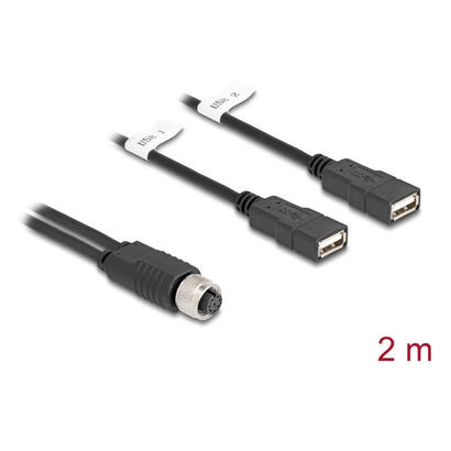 delock-m12-cable-a-kodiert-8-pin-buchse-zu-2-x-usb-20-typ-a-buchse-2-m-schwarz