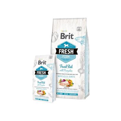 brit-fresh-fish-with-pumpkin-adult-large-muscles-joints-12-kg-pescados