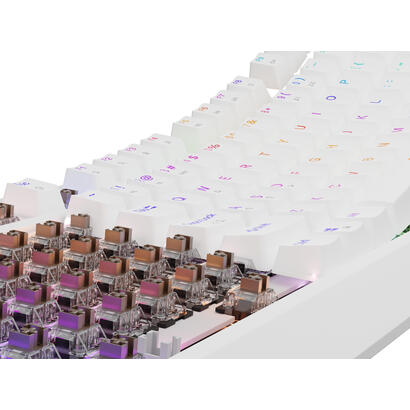 genesis-thor-230-tkl-teclado-juego-usb-rf-wireless-bluetooth-qwerty-blanco