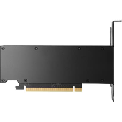tarjeta-grafica-nvidia-rtx-2000-ada-16gb-4mdp-gfx-8d6b8aa