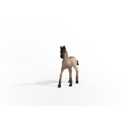 schleich-horse-club-13949-criollo-definitivo-fohlen