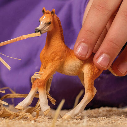 figura-schleich-horse-club-potro-arabe-13984