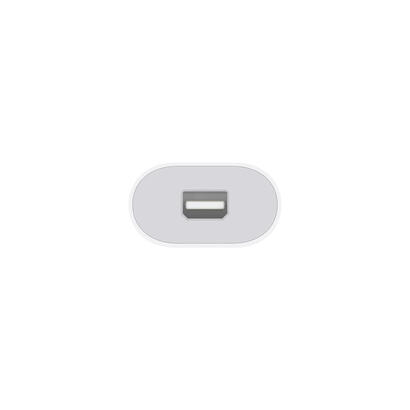 apple-adaptador-thunderbolt-3-usb-c-to-thunderbolt-2