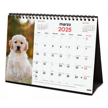 finocam-calendario-de-sobremesa-para-escribir-s-210x150mm-imagenes-cachorros-2025