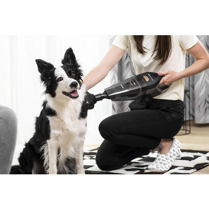 concept-vp4353-aspiradora-de-mano-negro-sin-bolsa