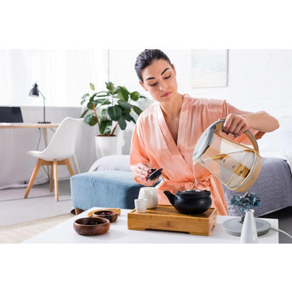 eldom-c470-ater-tetera-electrica-17-l-2200-w-transparente