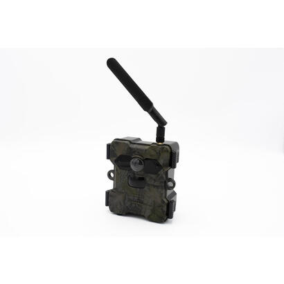 wildcam-with-solar-panel