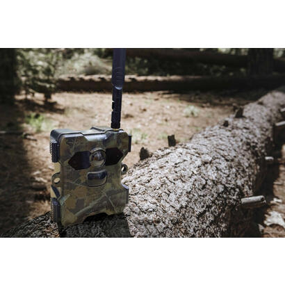 wildcam-with-solar-panel