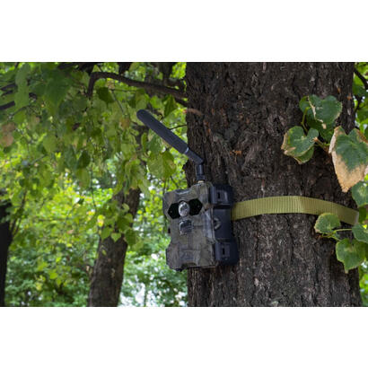 wildcam-with-solar-panel