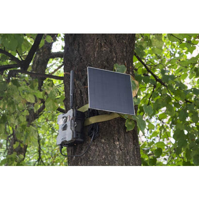 wildcam-with-solar-panel