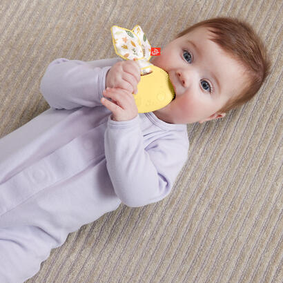 fisher-bunny-teether
