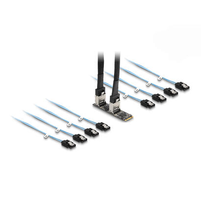 delock-convertidor-m2-2280-key-bm-macho-a-8-x-sata