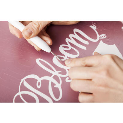 cricut-2004233-desmalezadora