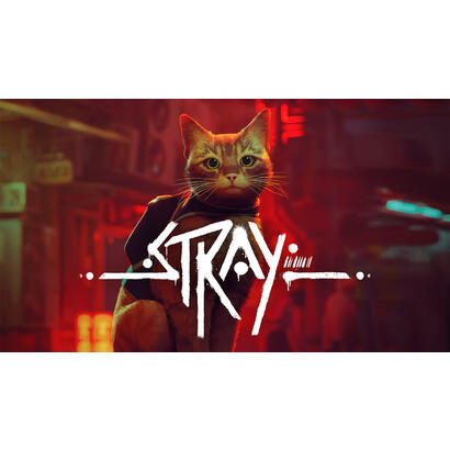 juego-stray-switch