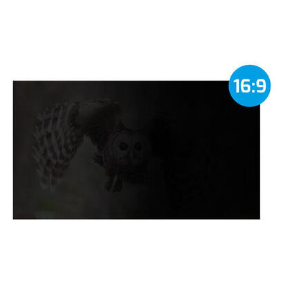 natec-privacy-filter-owl-27-169