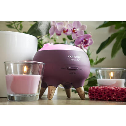 dyfuzor-zapachu-concept-perfect-air-berry-df1011