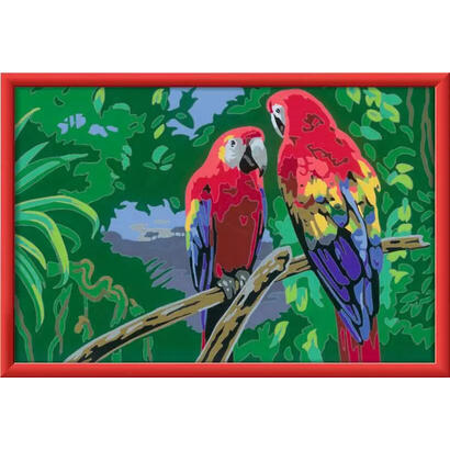 pintura-por-numeros-ravensburger-loros-de-colores-23770