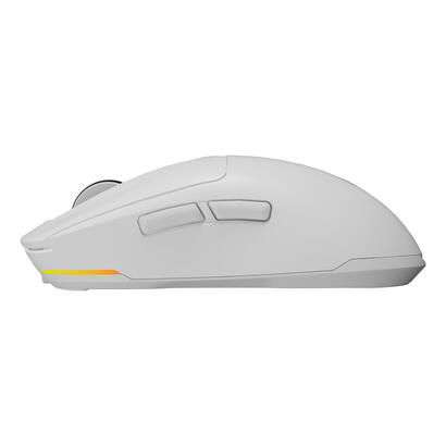 raton-genesis-zircon-660-pro-wireless-biala