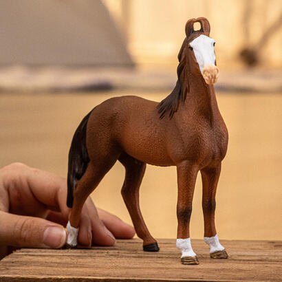 figura-yegua-marwari-de-schleich-horse-club-de-juguete-14897