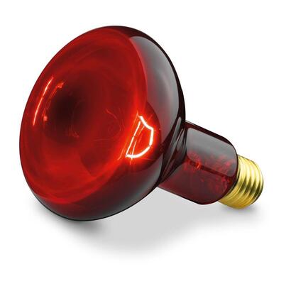 beurer-replacement-lamp-for-red-light-and-infrared-lamps