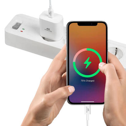 mobile-charger-wallwhite-ps4101-w00-rivacase