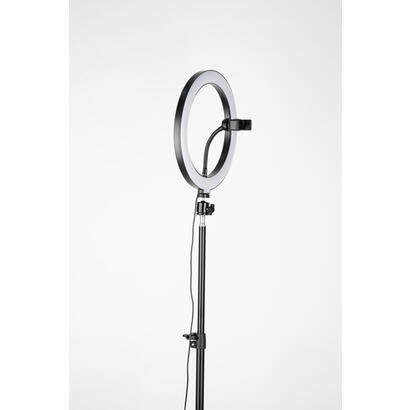tripode-havit-st7012-pro-con-anillo-de-luz